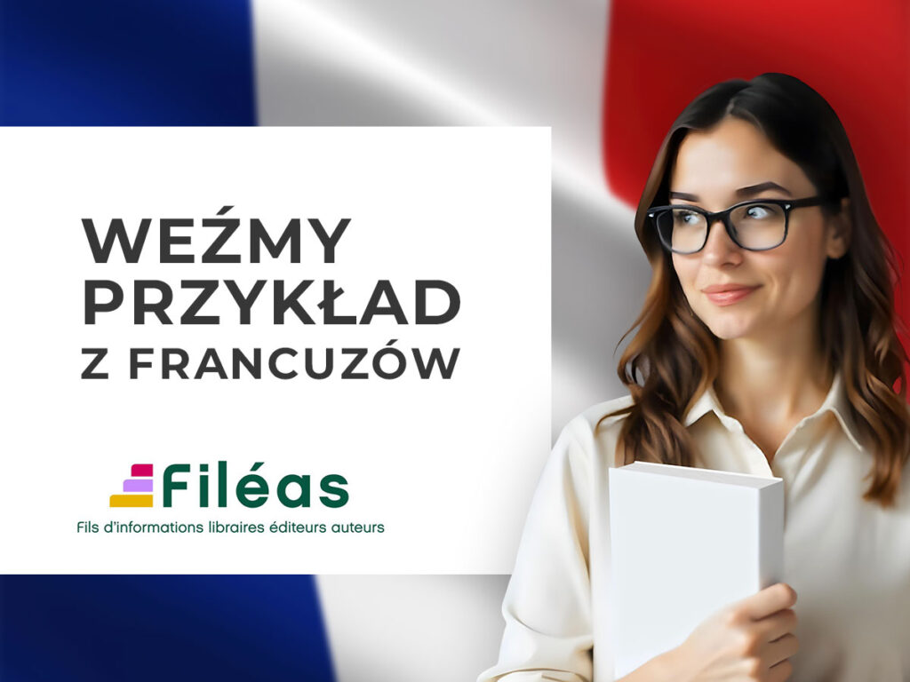 Flaga Francji oraz logotyp systemu Fileas.